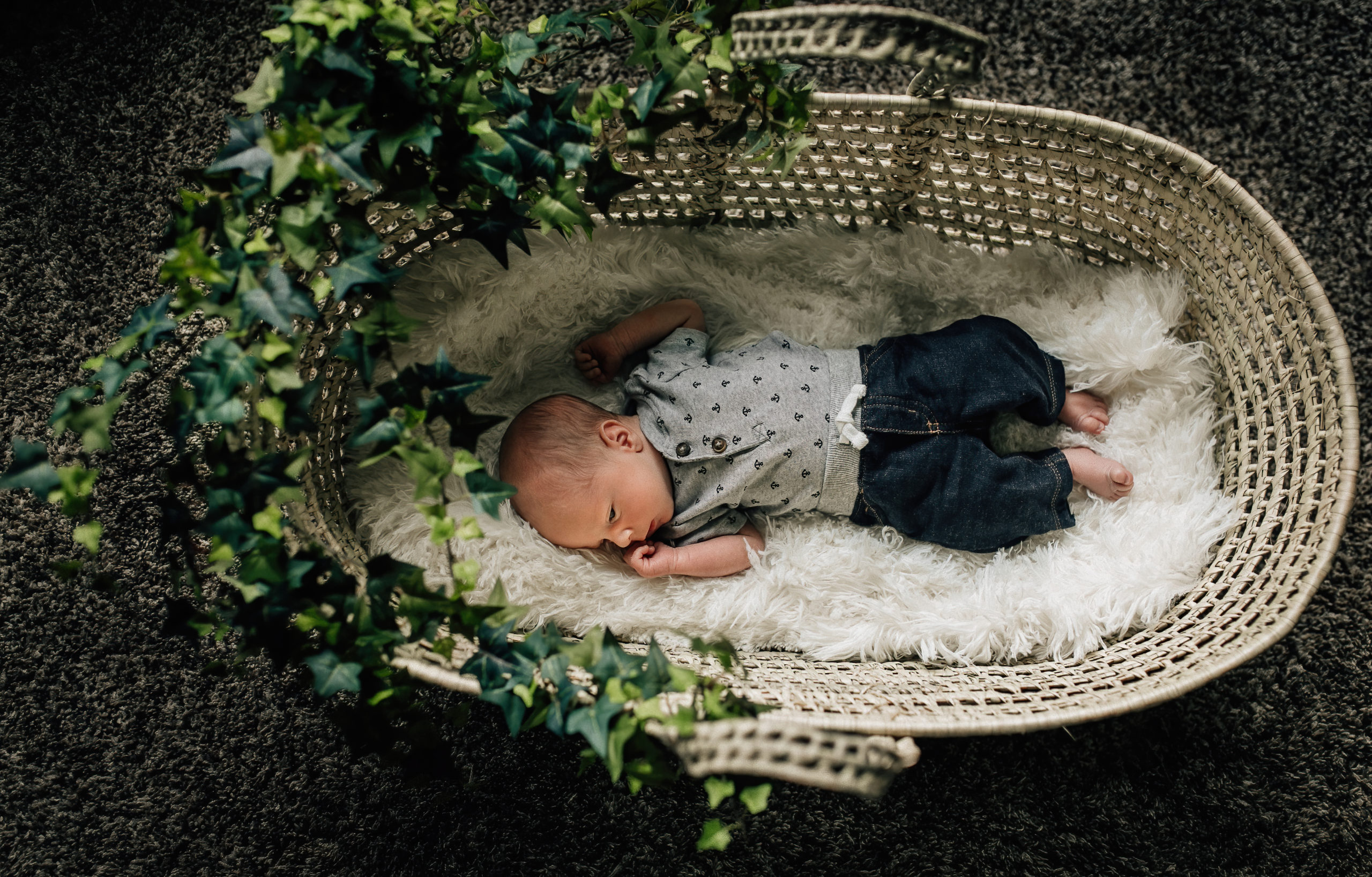 newborn baby boy resting in a Moses basket adorned with ivy.