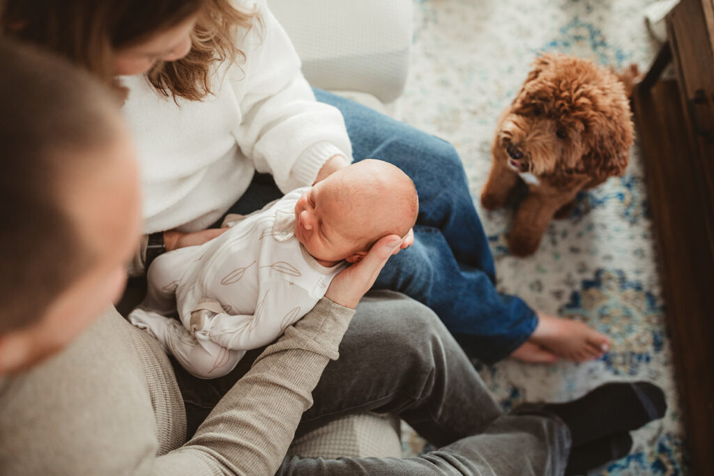 newborn baby with dog