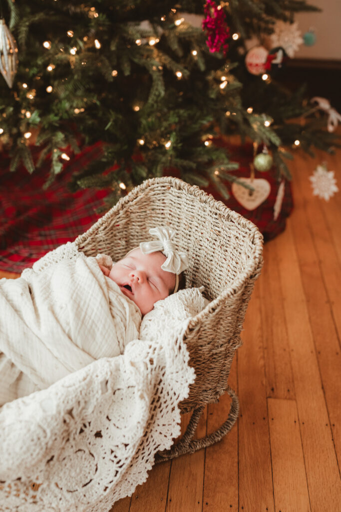newborn baby girl wrapped in basket under the christmas tree