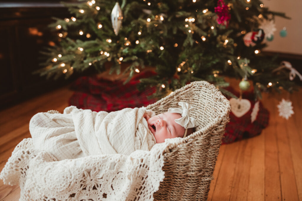 newborn baby wrapped in a blanket within a sleigh-basket near the christmas tree