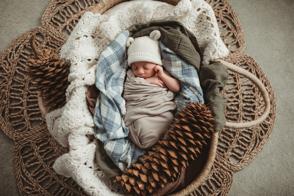 baby in the Moses basket with a sugar pine cone 