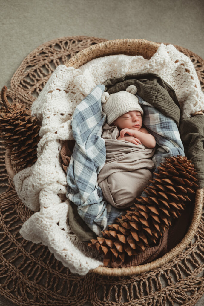 baby with his sugar pine cones. his parents brought the pine cones back from a vacation. While on vacation, they found out they were expecting this cutie little baby.