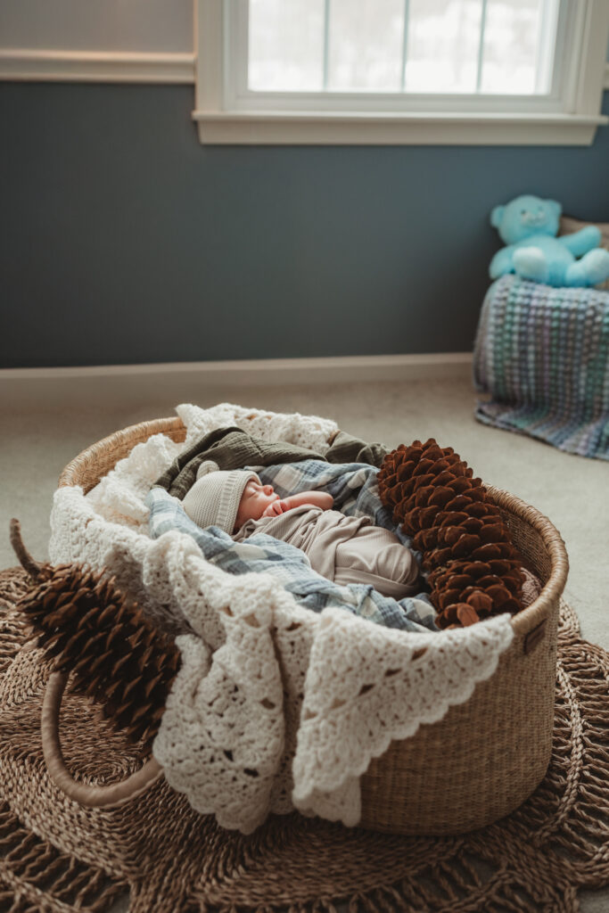baby snuggled in his Moses basket with sugar pine cones, window and blue bear with crocheted baby blanket in the background