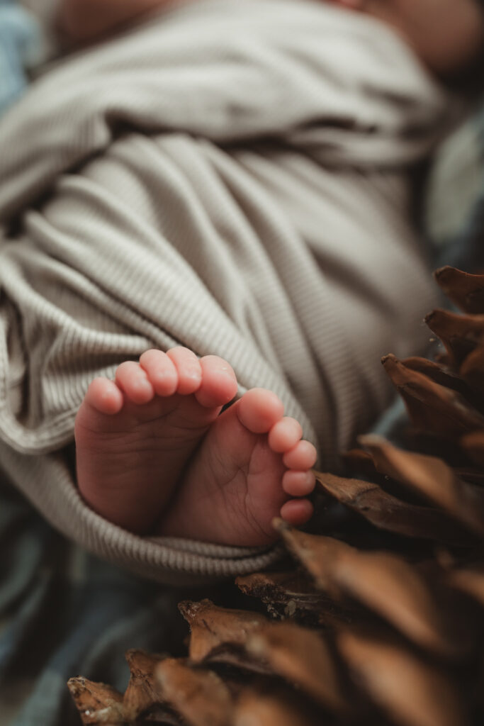 baby feet close up with sugar pine cone.