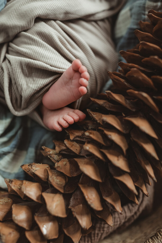 baby's feet against the sugar pine cone