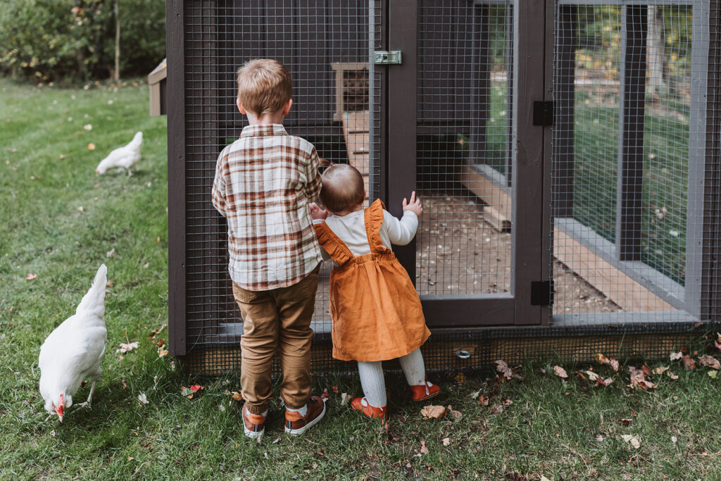 toddlers peeking in at chickens