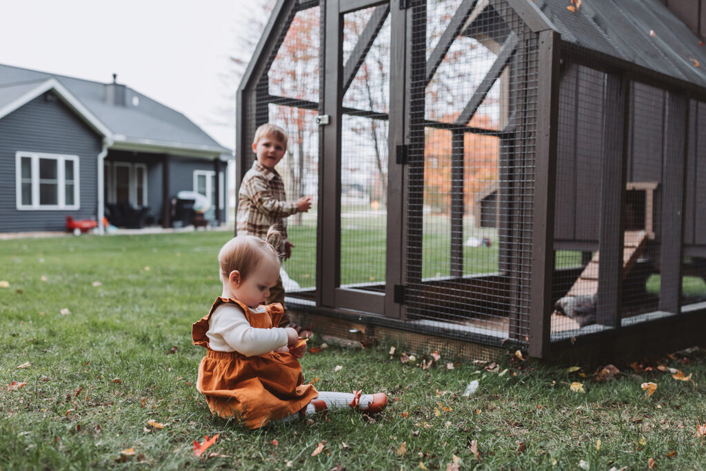little girl looks at crunchy leaf infront of chicken coop