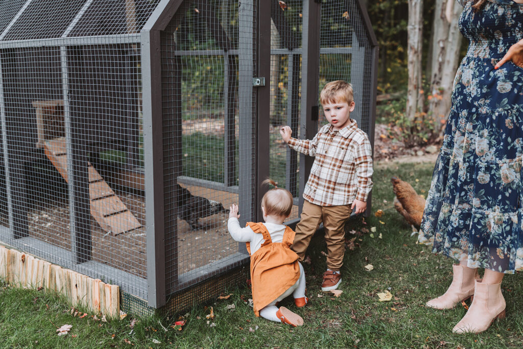 toddlers look in at chickens