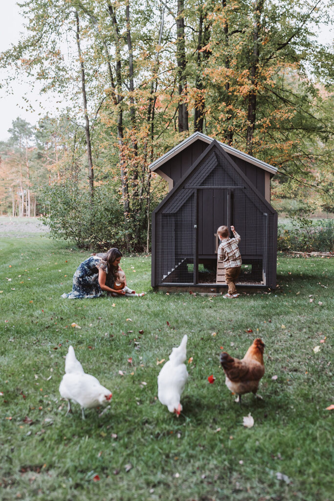 hanging out with the chickens